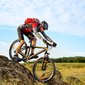 Mountainbikes Trekkingräder, Trekking-Cross Bikes
